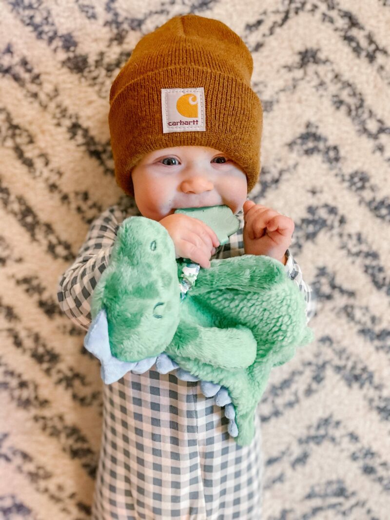 Itzy Ritzy Dino Plush Itzy Lovey Plush with Silicone Teether Toy