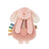 Itzy Ritzy Bunny Plush Itzy Lovey with Silicone Teether Toy