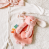 Itzy Ritzy Bunny Plush Itzy Lovey with Silicone Teether Toy