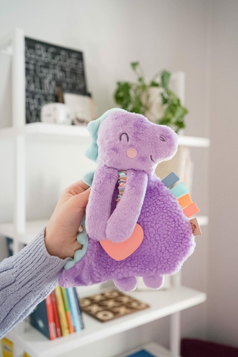 Itzy Ritzy Dino Plush Itzy Lovey Plush with Silicone Teether Toy