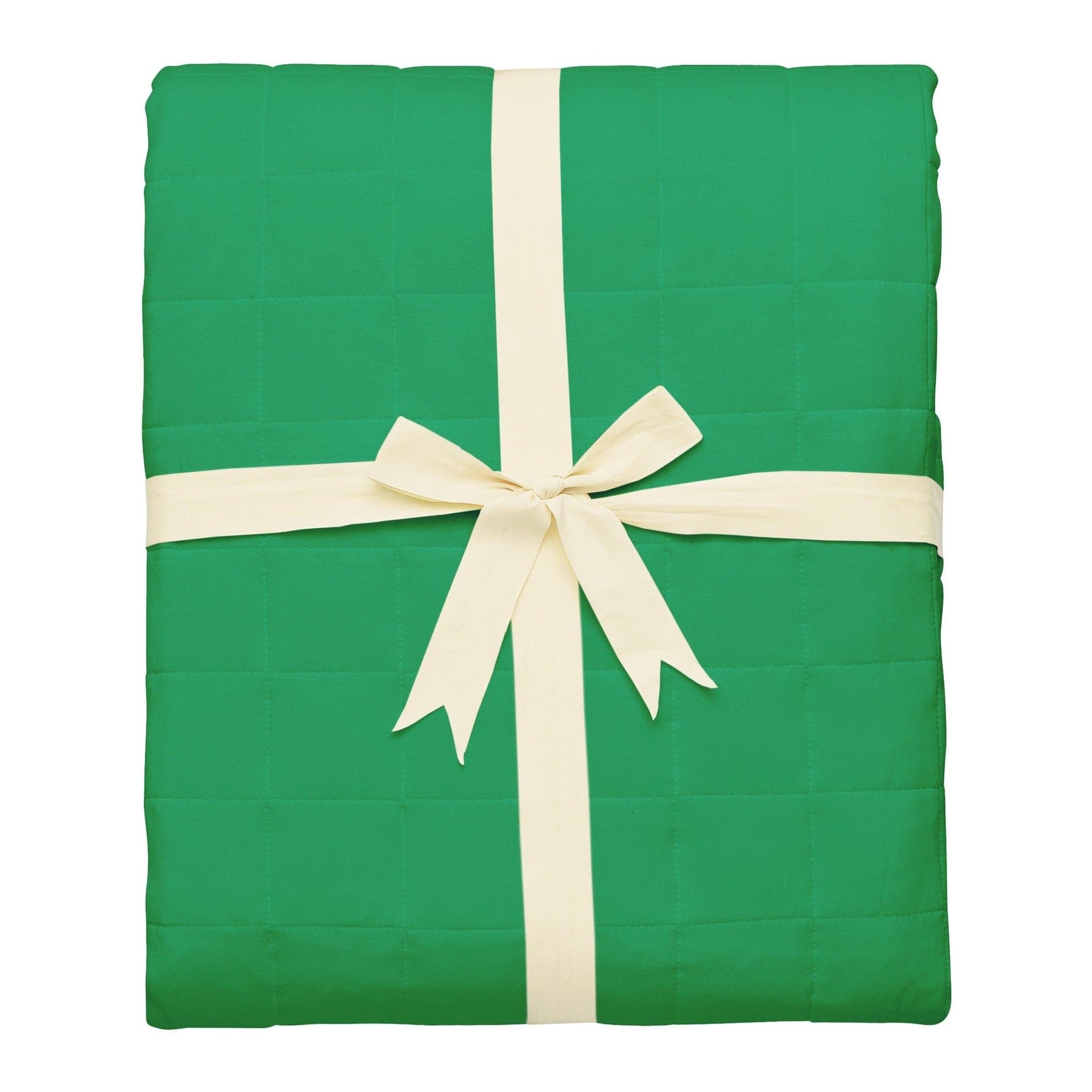 Kyte Baby Swaddle Blanket - Fern