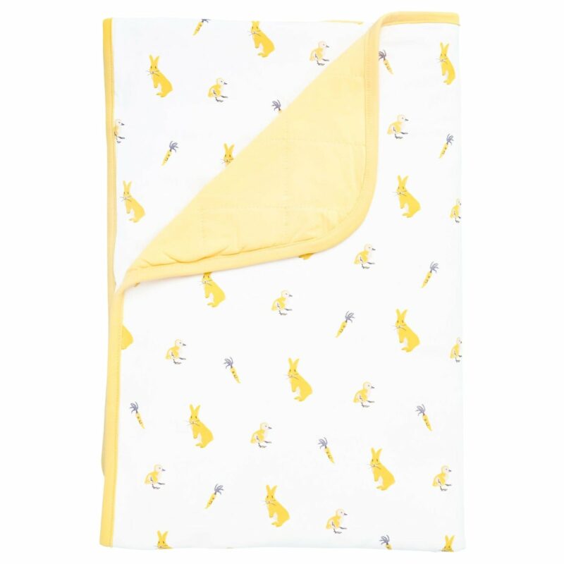 Kyte BABY Toddler Blanket in Hop