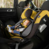 Diono Radian 3QXT Convertible Car Seat