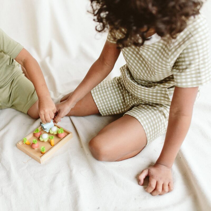goumi Gingham Bamboo Organic Short Sleeve and Shorts Set