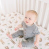 Copper Pearl Noah Premium Crib Sheet