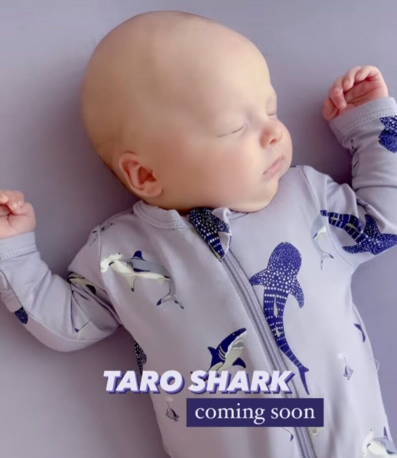 Are Moses Baskets Safe?