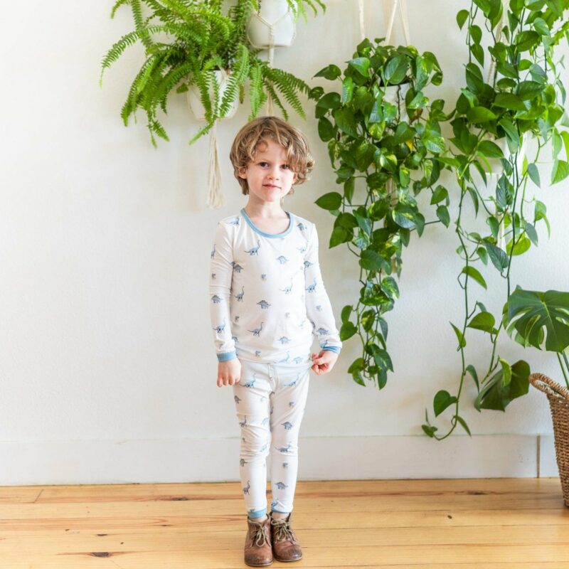 Toddler Pajama Set in Jurassic from Kyte BABY