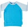 Blue and Gray Crewneck Sweatshirt