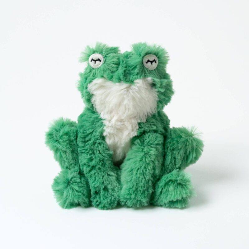 Green Frog Mini & Ibex Intro Book for Emotional Courage from Slumberkins