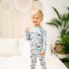 Sweet Bamboo Blue Dino Bamboo Viscose Two-Piece Pajama Set