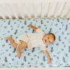 Leo Premium Crib Sheet from Copper Pearl