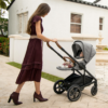 Nuna MIXX Next Stroller