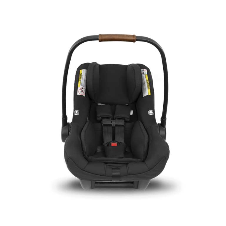 Nuna PIPA Lite RX Infant Car Seat and RELX Base Blossom