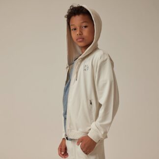 Play X Play Zip-Up Tech Hoodie In Stone
