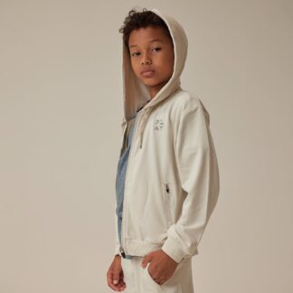 Play X Play Zip-Up Tech Hoodie In Stone