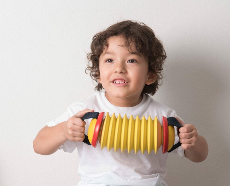 PlanToys Concertina Play Accordion