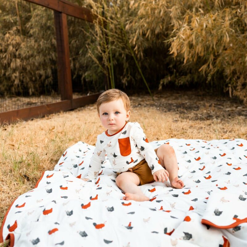 Toddler Blanket in Chick from Kyte BABY