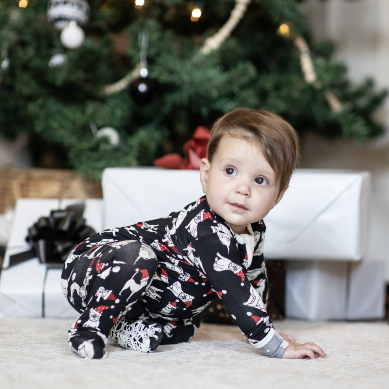 Peregrine Kidswear Santa Paws Bamboo Footed Sleeper