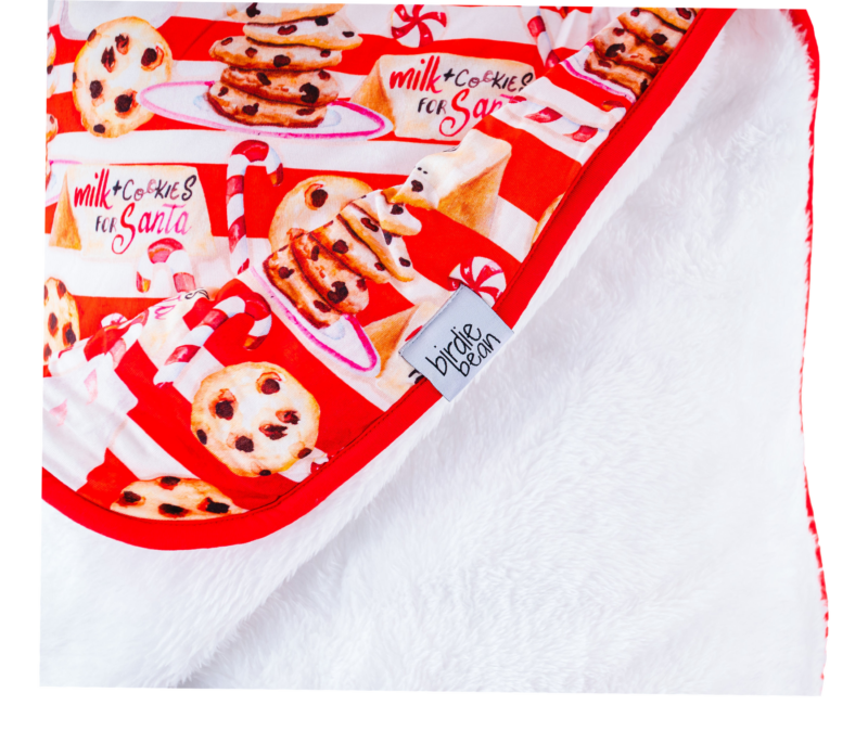 Noel Plush Toddler Blanket made by Birdie Bean