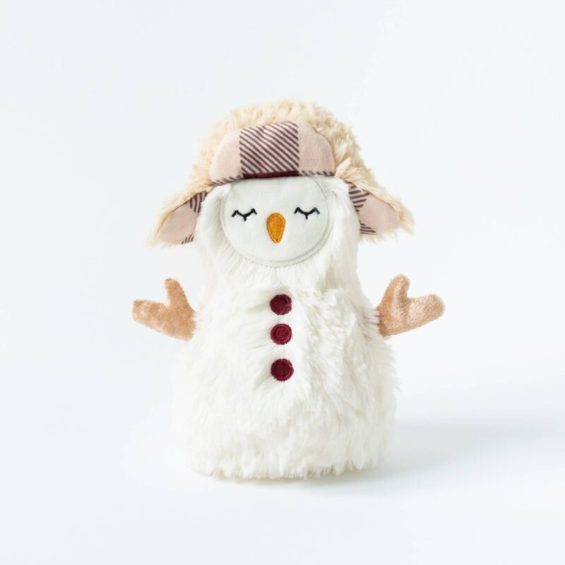 Snowman Penguin Mini & Yeti Lesson Book from Slumberkins