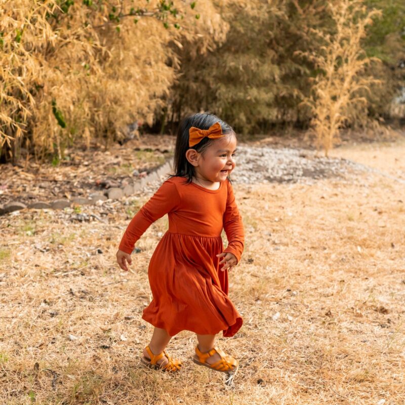 Long Sleeve Twirl Dress in Rust