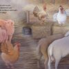 Christmas Blessing: A One-of-a-Kind Nativity Story Hardcover Book from Sourcebooks