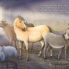 Sourcebooks Christmas Blessing: A One-of-a-Kind Nativity Story Hardcover Book Children's Books