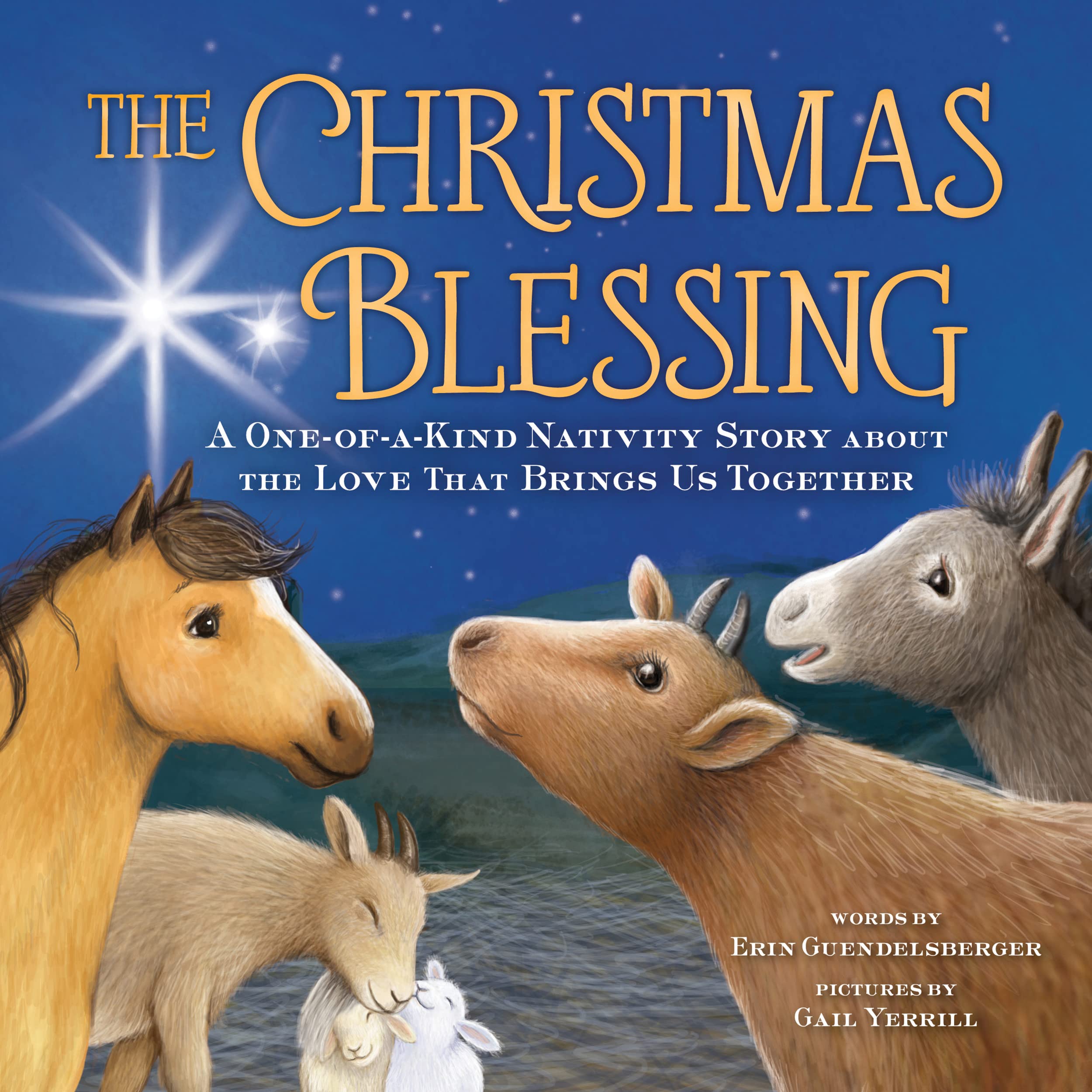 Sourcebooks Christmas Blessing: A One-of-a-Kind Nativity Story Hardcover Book