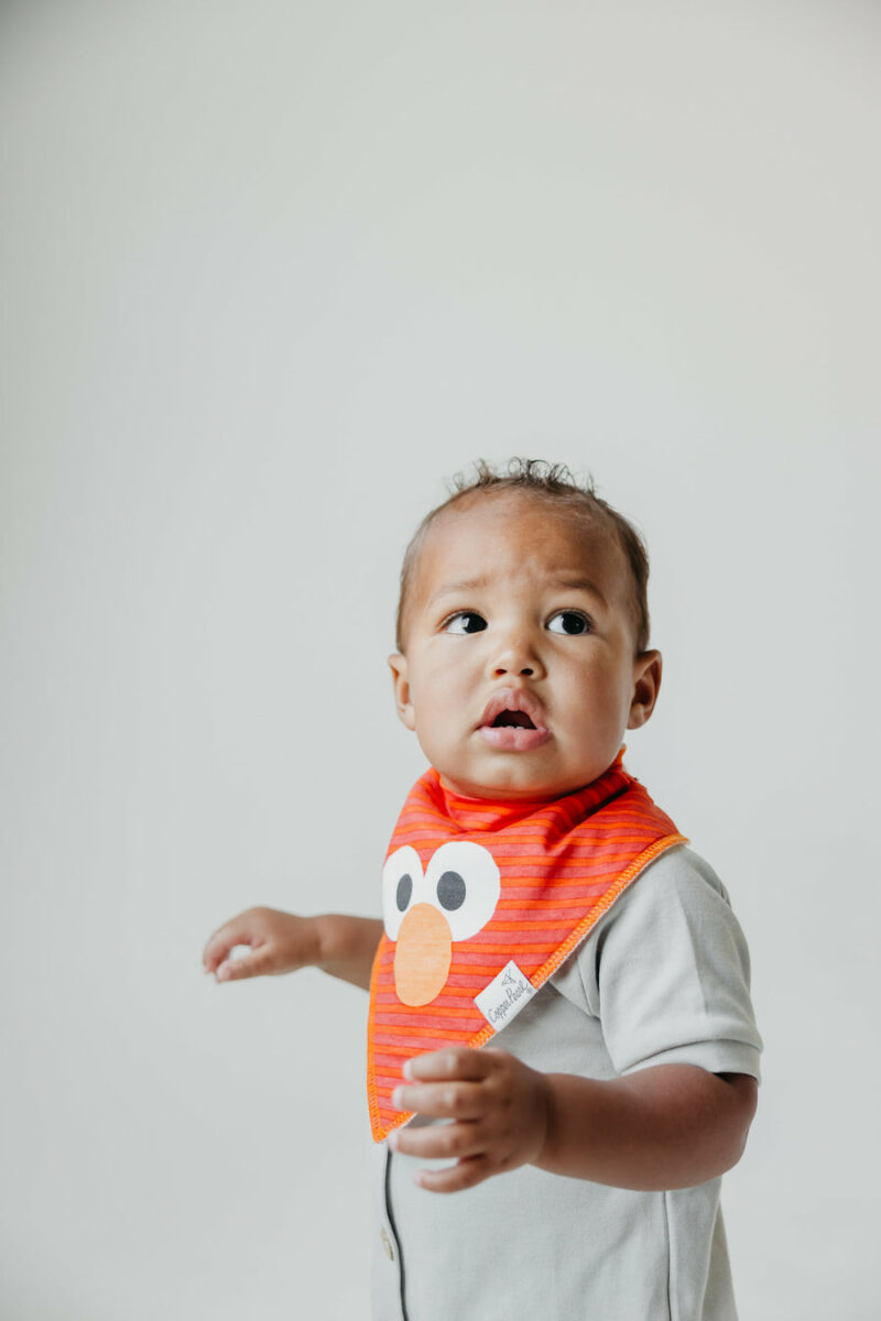 Elmo Bandana Bib Set 4-Pack from Copper Pearl