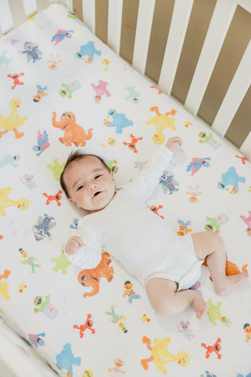 Sesame Friends Crib Sheet made by Copper Pearl