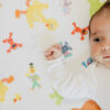 Copper Pearl Sesame Friends Crib Sheet Bedding
