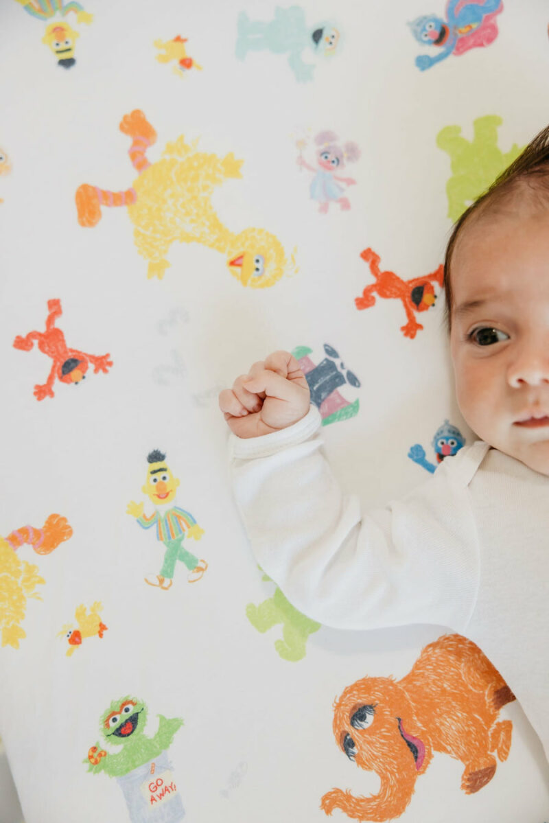 Copper Pearl Sesame Friends Crib Sheet Bedding