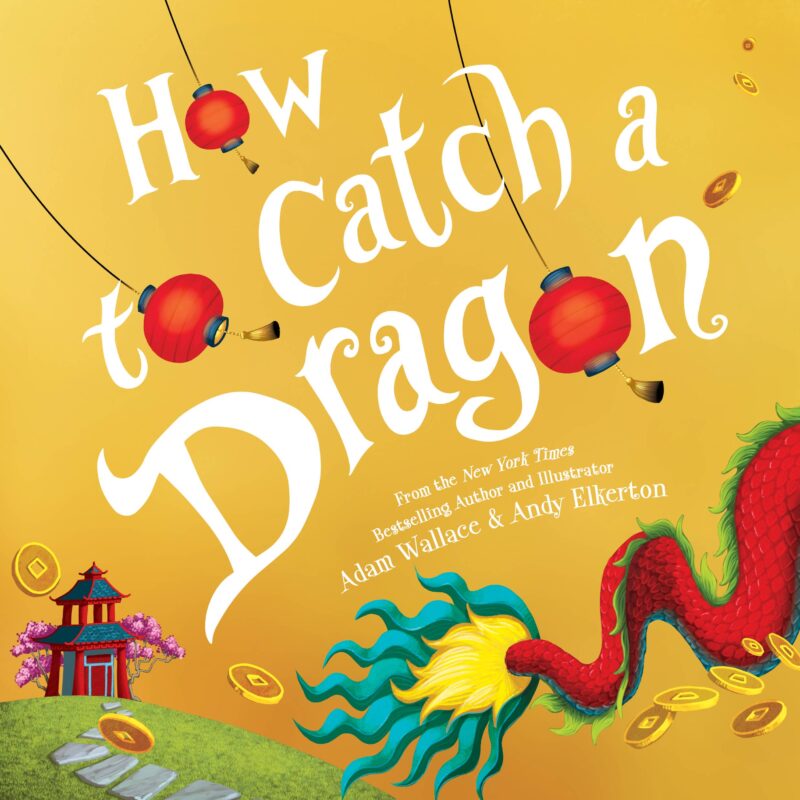 Sourcebooks How To Catch A Dragon Hardcover Book