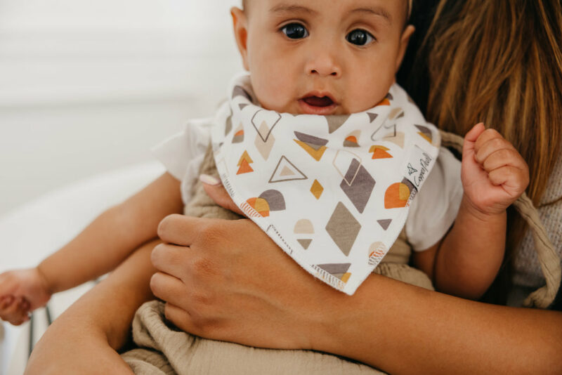 Swift Bandana Bib Set 4-Pack made by Copper Pearl