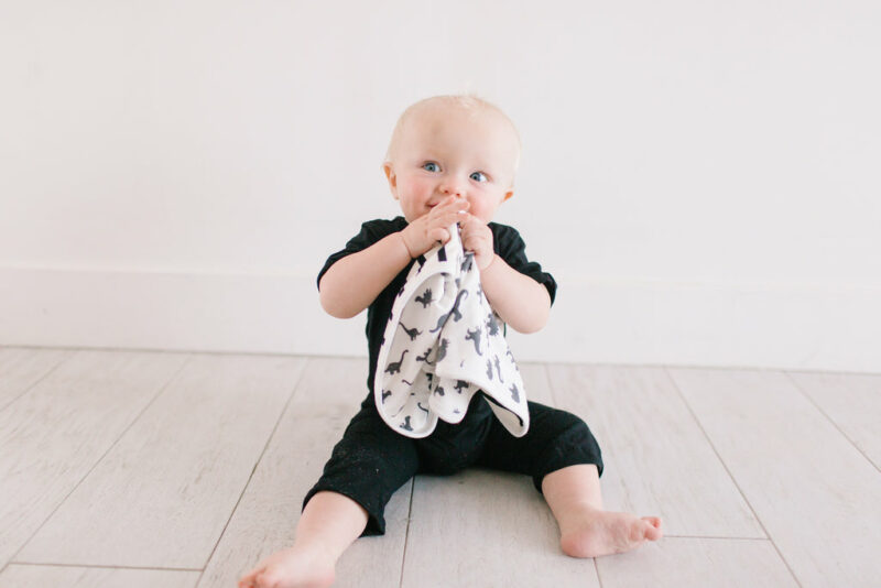 Wild Security Blanket Set 2-Pack from Copper Pearl