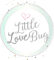 Little Love Bug Company