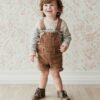 Jamie Kay Chase Cord Overall in Putty