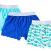 Birdie Bean Brooks Bamboo Viscose Boxer Brief Set