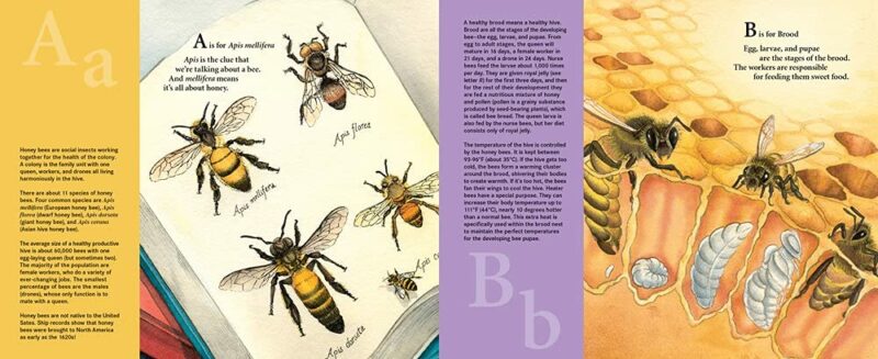 H is for Honey Bee: A Beekeeping Alphabet Hardcover Book from Sleeping Bear Press