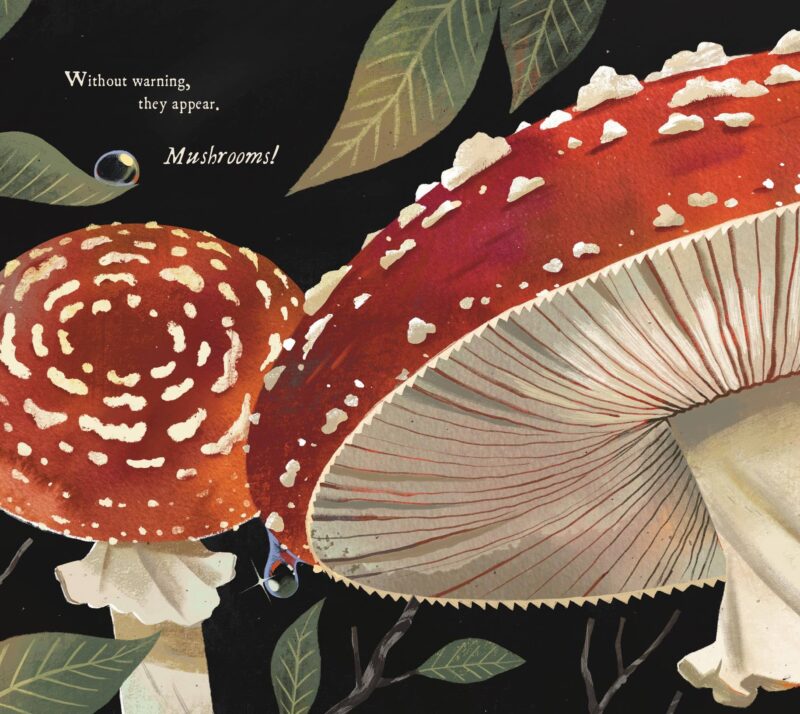 Mushroom Rain Hardcover Book from Sleeping Bear Press
