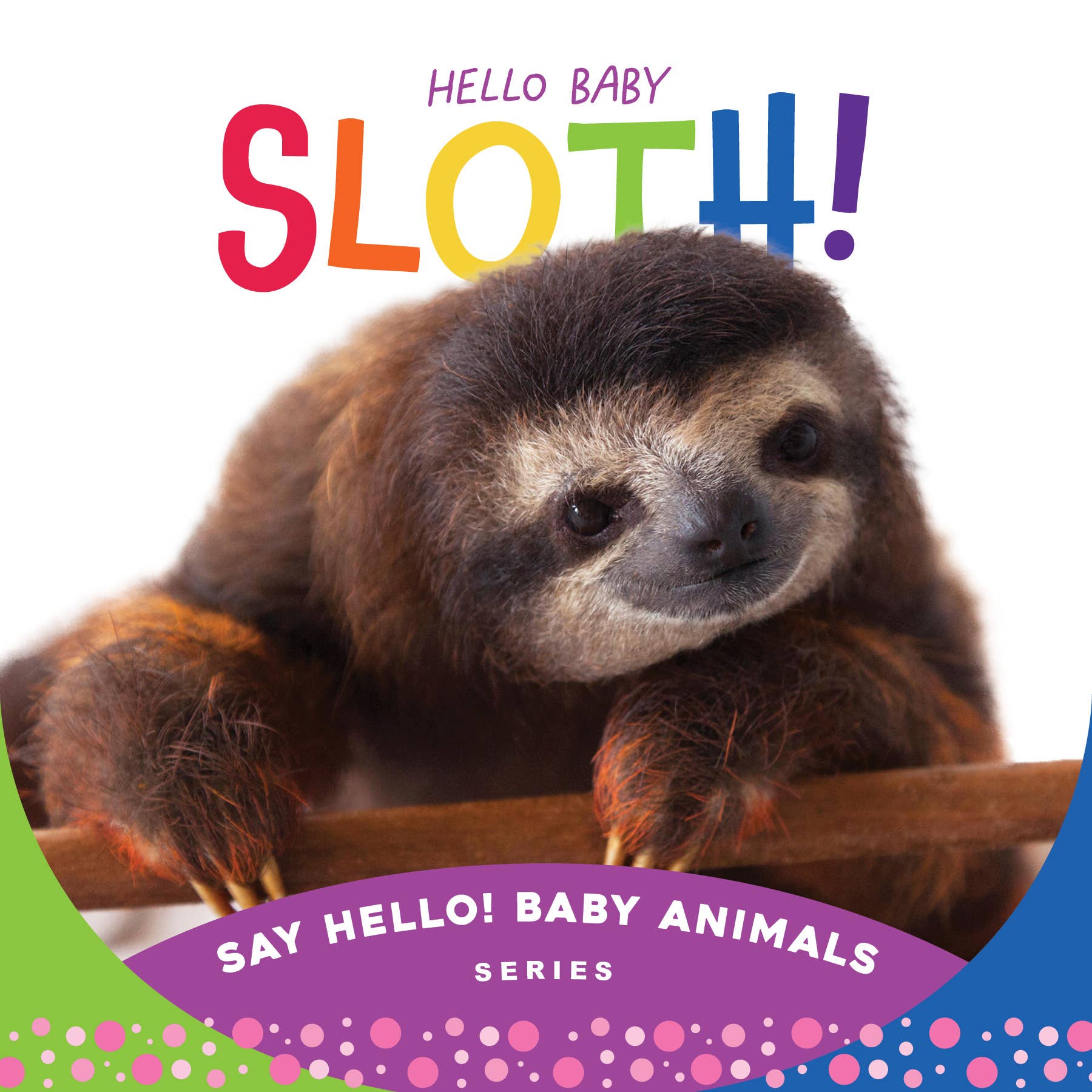 Sleeping Bear Press Hello Baby Sloth! Board Book