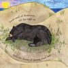 Sleeping Bear Press Hush-a-Bye Night: Goodnight Lake Superior Hardcover Book part of our  collection