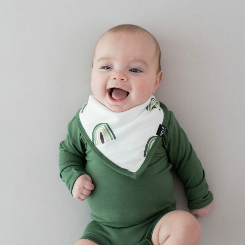 Bib in Hunter Rainbow  from Kyte BABY