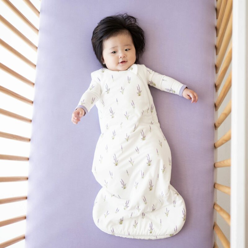 Sleep Bag in Lavender 1.0  from Kyte BABY