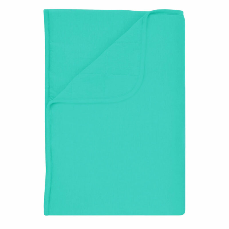 Kyte BABY Toddler Blanket in Caribbean