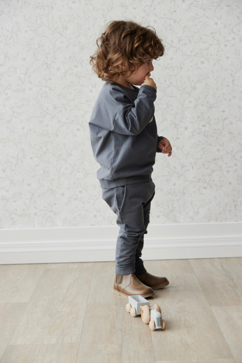 Organic Cotton Morgan Pant in Smoke