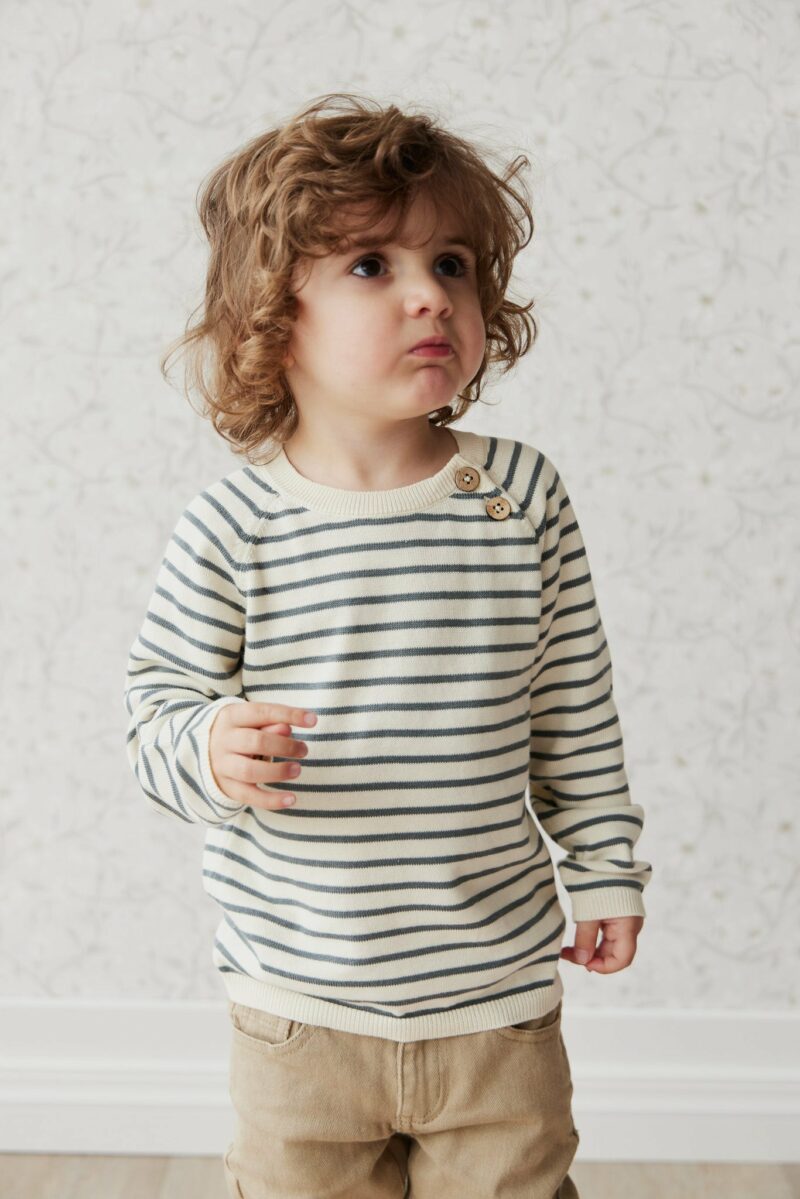 Jayden Jumper in Jayden Stripe available at Blossom