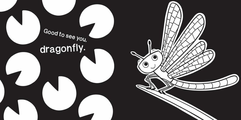 Garden Bugs from Sourcebooks