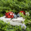 Ladybug Wooden Figurine made by Wooden Caterpillar Toys