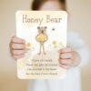 Slumberkins Honey Bear Snuggler 2 Book Bundle Toys